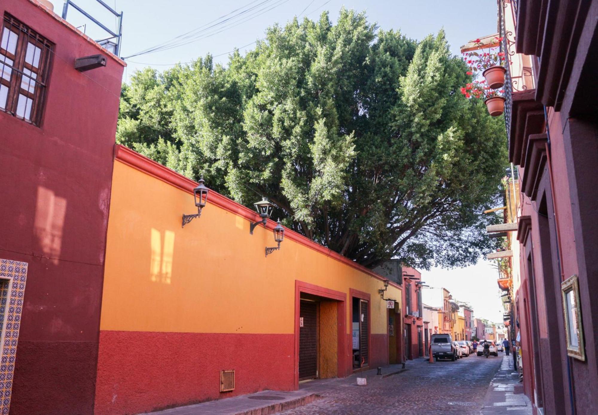 Casa Relox 43 Hotel San Miguel de Allende Ngoại thất bức ảnh